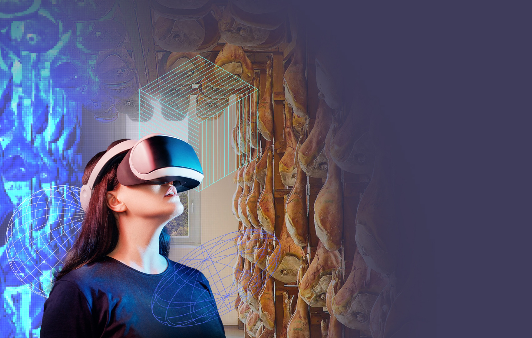 Metaverso del Prosciutto di San Daniele